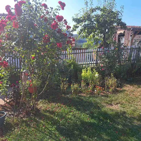 Pavlovica Konaci Apartament Kotraza