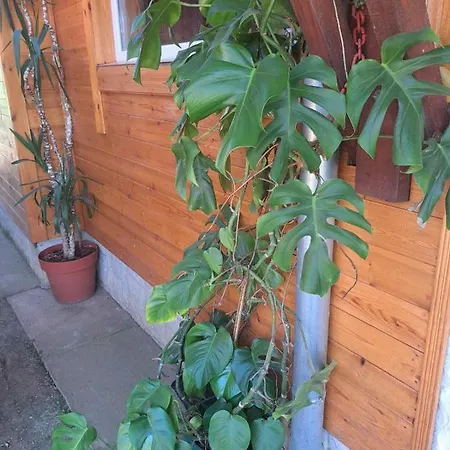 Apartament Pavlovica Konaci Kotraza