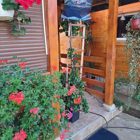 Pavlovica Konaci Apartament *